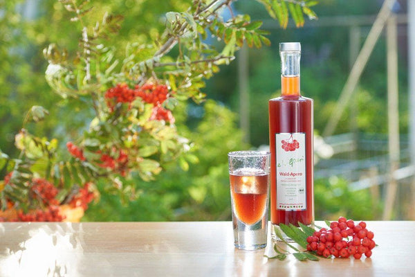 Hädecke Shop eWilpari - der Wald-Apero Kochbuch Haedecke