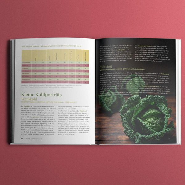 Petra Kolip Kohlrouladen & Krautwickel Kochbuch Haedecke