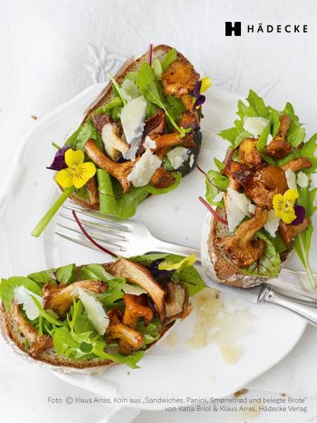 Katja Briol, Klaus Arras Sandwiches, Panini, Smørrebrød und belegte Brote Kochbuch Haedecke