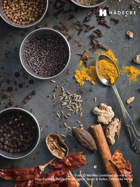 Caroline Dafgård Widnersson Würzig! Kochbuch Haedecke