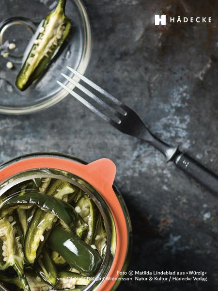 Caroline Dafgård Widnersson Würzig! Kochbuch Haedecke