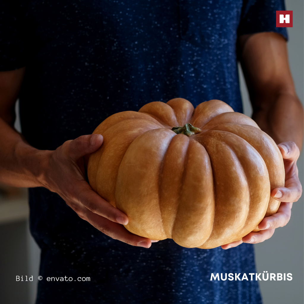 Die besten Kürbissorten für die Herbstküche