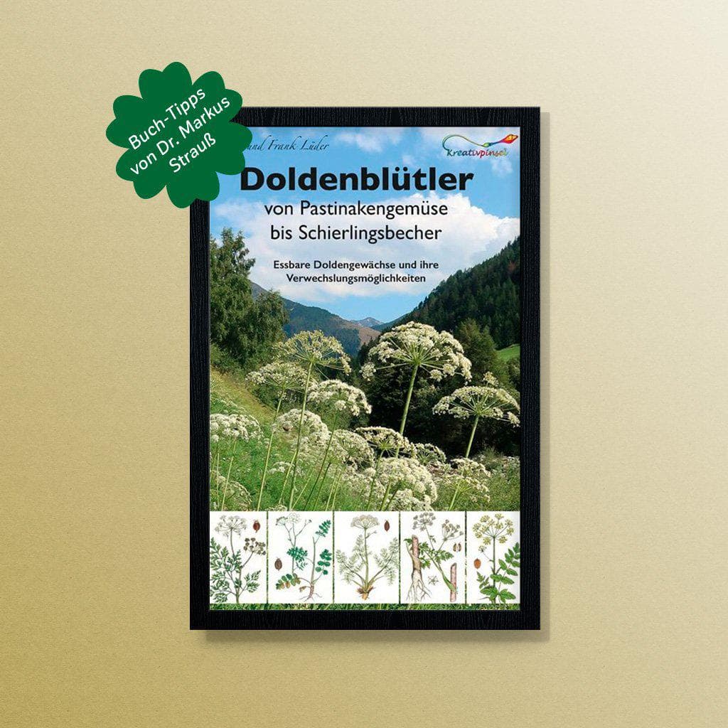 Markus Strauß empfiehlt: Doldenblütler von Pastinakengemüse bis Schierlingsbecher – Rita und Frank Lüder Kochbuch Haedecke