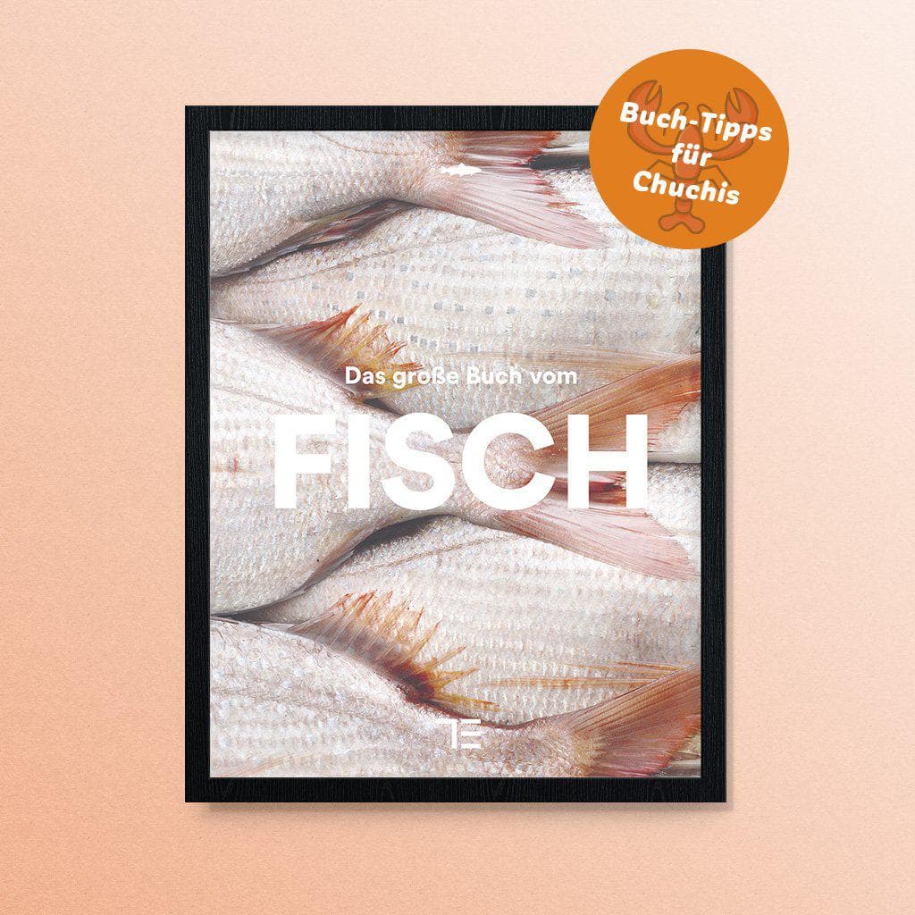 DER HUMMER empfiehlt Das große Buch vom Fisch – Petra Wagner Kochbuch Haedecke