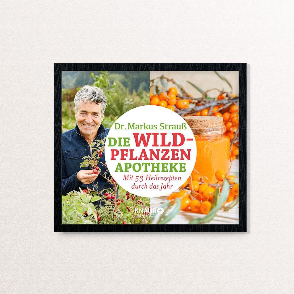 Markus Strauß Der Wildpflanzen-Apotheke-Kalender – Dr. Markus Strauß Kochbuch Haedecke